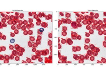 5f9754e8 0210 4d79 a7e0 8fdf92823c16 1920x960.jpg