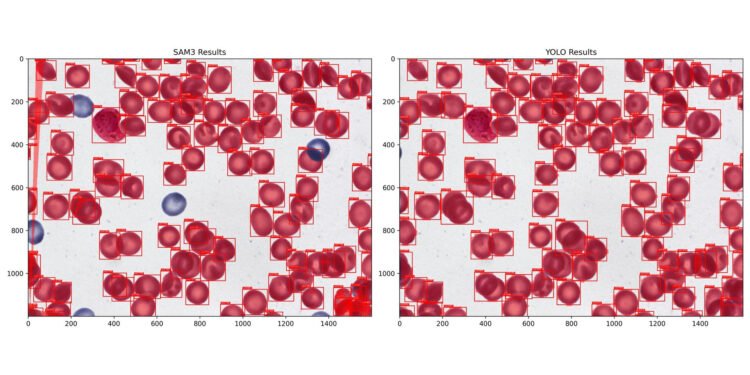 5f9754e8 0210 4d79 a7e0 8fdf92823c16 1920x960.jpg