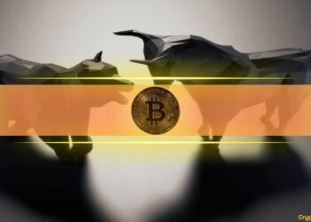 Bitcoin bear bull.jpg