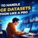 How to handle large datasets in python like a pro.jpg