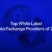 Top20white20label20crypto20exchange20providers20of202026 id 0986a7ce b05c 4bf8 906f ac103f73f67f size900.jpeg