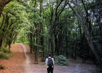 Vladislav babienko ktpsvecu0xu unsplash.jpg