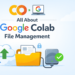 All about google colab file management.png