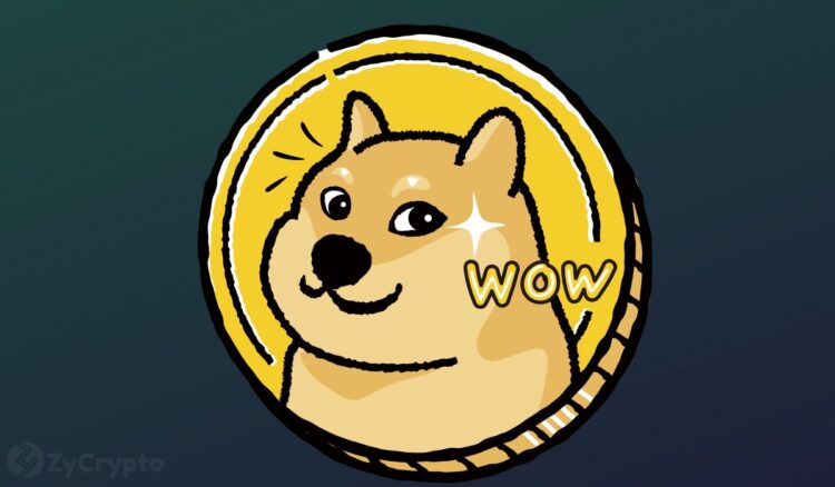 Dogecoins future could follow this bullish trajectory to 1 doge price thanks to elon musk.jpg