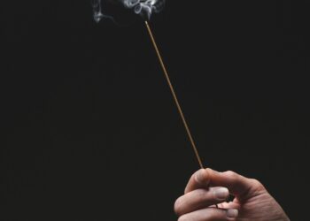 Petr sidorov ezzegnqgf0s unsplash scaled 1.jpg