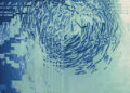 Distorted fish school lone thomasky bits baume 3113x4393.png