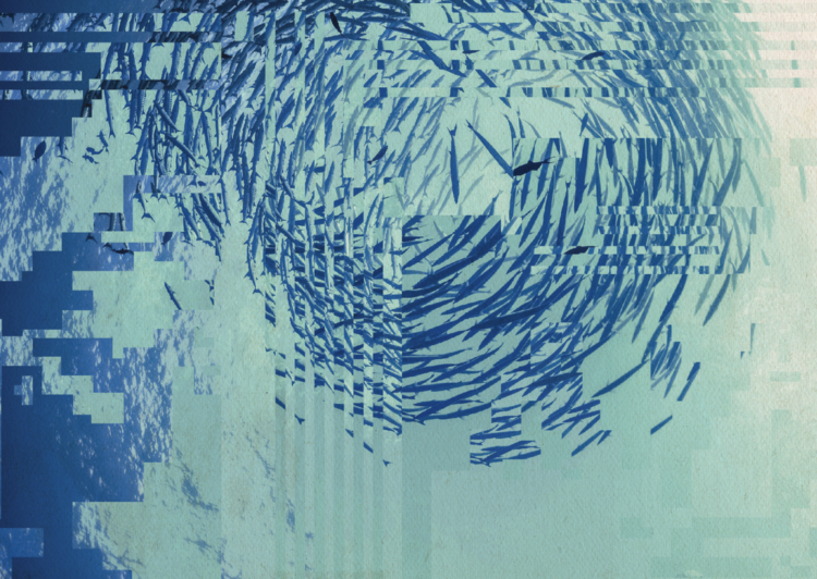 Distorted fish school lone thomasky bits baume 3113x4393.png