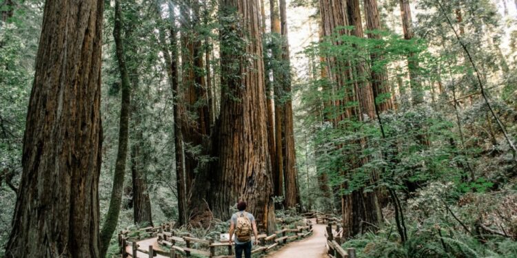 Image 310 1024x683 1.jpg