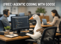 Kdn olumide free agentic coding goose.png