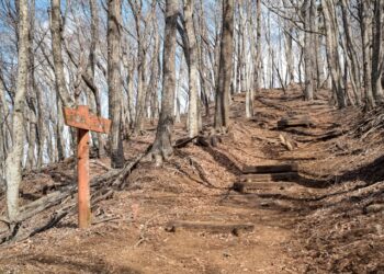 Luke galloway 3s3c4qgrwa8 unsplash.jpg