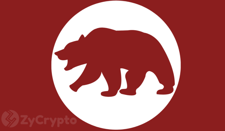 Crypto market bears wipe out 13 billion as bitcoin plummets below 10000.png