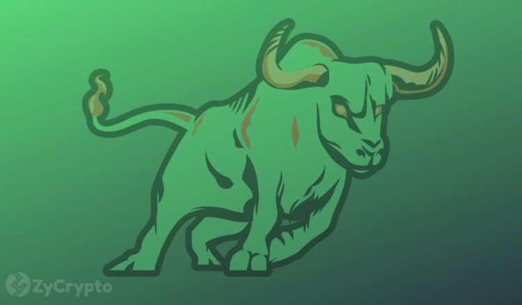 Bitcoin ether cardano solana bull rally in second half of 2022 is unquestionable says crypto exec.jpg