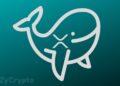Xrp whales are seriously accumulating – a major price movement inbound .jpg