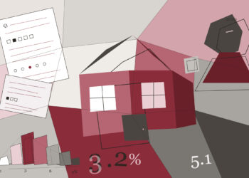Cubist household survey lighter mix.jpg