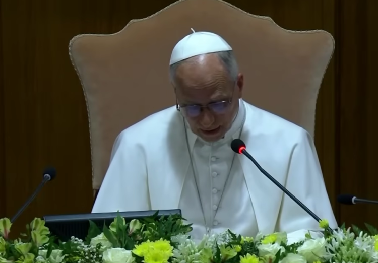 Pope leo xiv vatican encyclical autonomous weapons 1.png 1.png