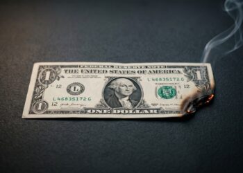 00 cover burning dollar scaled 1.jpg