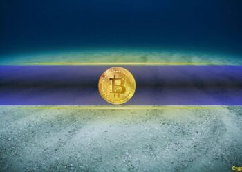 Bitcoin bottom.jpg