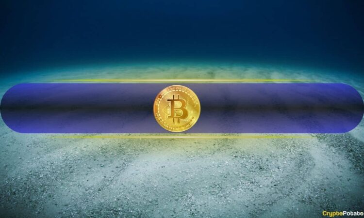 Bitcoin bottom.jpg