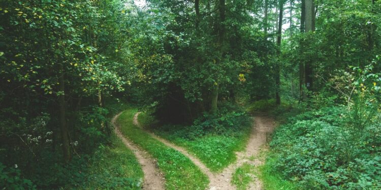 Desire path u0vgcioqg08 v3 card.jpg