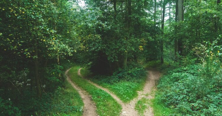 Desire path u0vgcioqg08 v3 card.jpg
