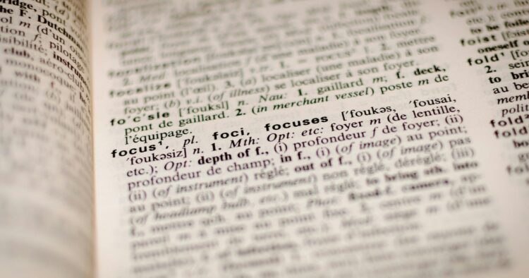 Dictionary focus ywqa9izb du v3 card.jpg