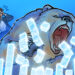 Hi market correction vs bear market key differences explained.jpg