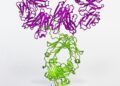 National institute of allergy and infectious diseases oc12eproeoi unsplash scaled 1.jpg