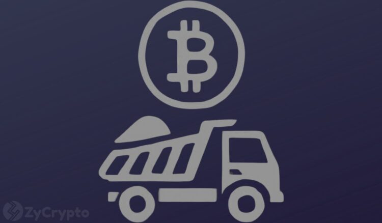 Former Meta Engineer Dumps Bitcoin Backs AI Amid Heavy Capital Rotation.jpg