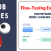Noob Series Fine Tuning Explained.png