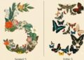Anthropic claude sonnet 5 fable 5 ai models.jpg