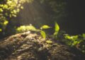 Pexels vargaphotography 10796342 scaled 1.jpg