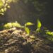 Pexels vargaphotography 10796342 scaled 1.jpg