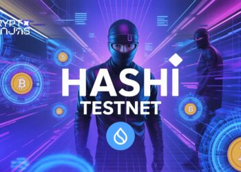 Sui hashi testnet.jpeg