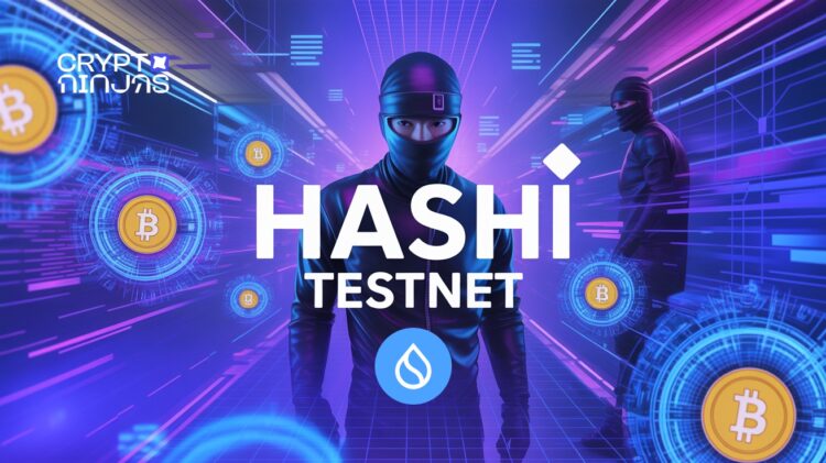 Sui hashi testnet.jpeg