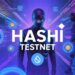 Sui hashi testnet.jpeg