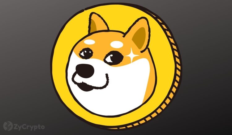 How Elon Musks Starlink Could Make Dogecoin Unstoppable.jpg