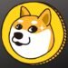 How Elon Musks Starlink Could Make Dogecoin Unstoppable.jpg