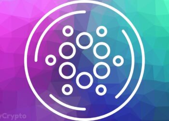 Nearly 1000 Projects Are Now Building On Cardano As ADA Ecosystem Flares With Massive Activity.jpg