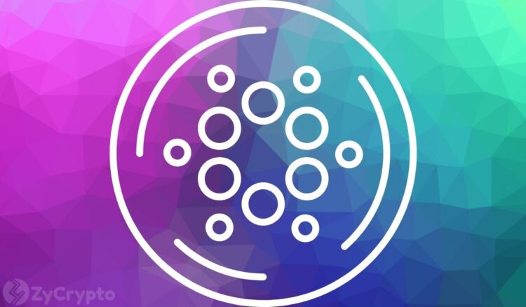Nearly 1000 Projects Are Now Building On Cardano As ADA Ecosystem Flares With Massive Activity.jpg