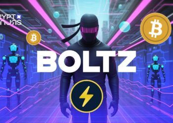 Boltz shutdown.jpeg