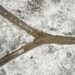 Forked road snow 20061882 v3 card.jpg