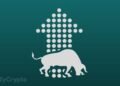 Bitcoin Bull Markets Show Increasing Traction Among Altcoins.jpg