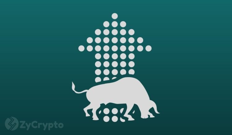 Bitcoin Bull Markets Show Increasing Traction Among Altcoins.jpg