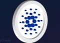 Cardano Whales Going Crazy On ADA Buys As Pundits Predict 4 ADA Price Explosion In 2024.jpg
