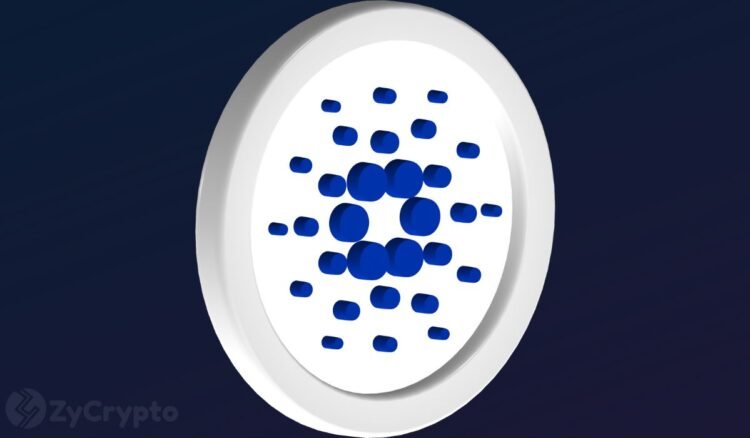 Cardano Whales Going Crazy On ADA Buys As Pundits Predict 4 ADA Price Explosion In 2024.jpg