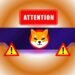 SHIB CB 1.jpg