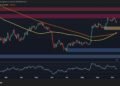 BTC D 4 scaled.jpg