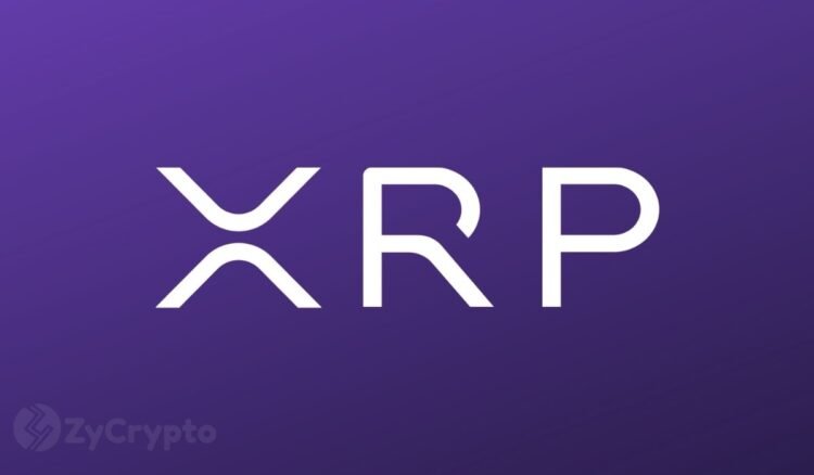 Fan Tells Talk Show Host Alex Jones That XRP Will Become A Global Reserve Currency.jpg