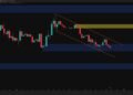 XRP D 7.jpg