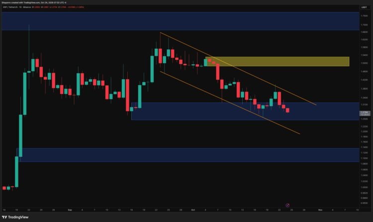 XRP D 7.jpg